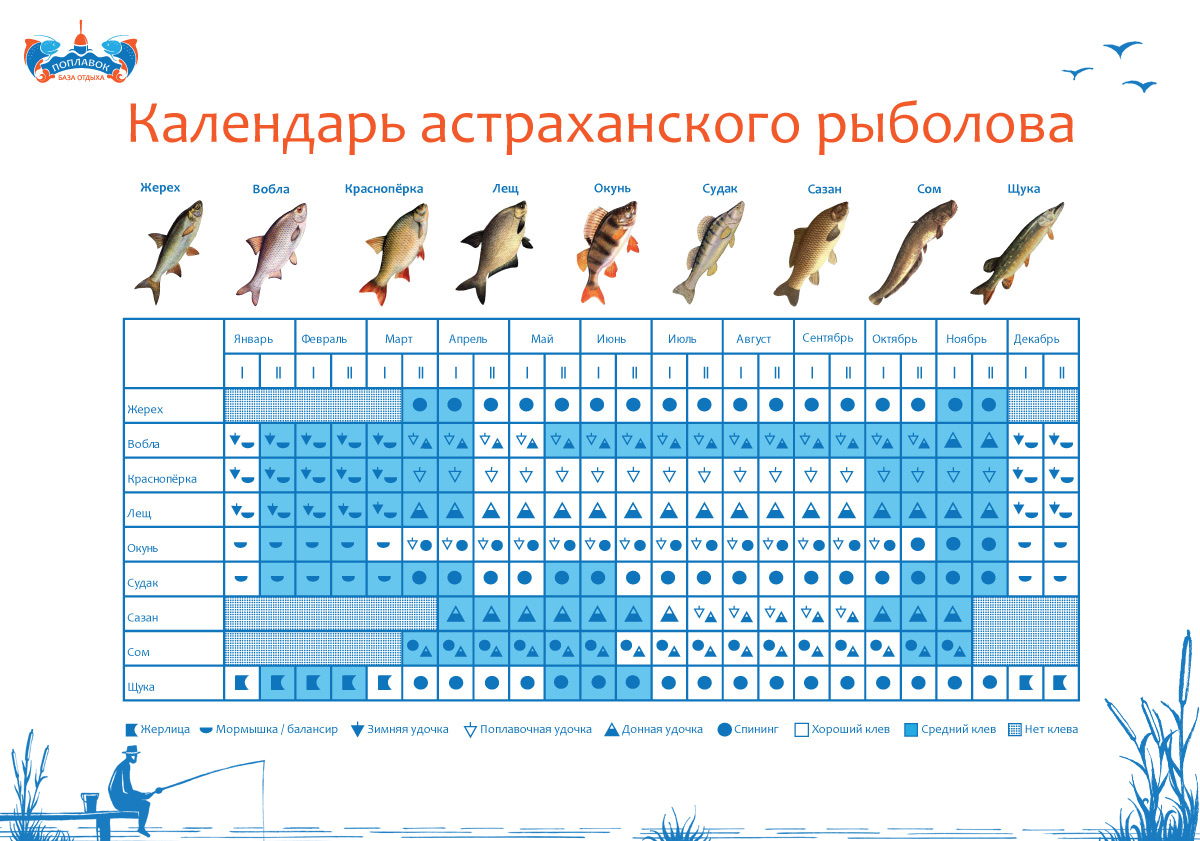 Календарь клева краснодарский край. Календарь рыбалки в Астрахани. Календарь рыболова. Таблица рыболова. Календарь клева рыбака.